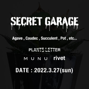 SECRET GARAGE